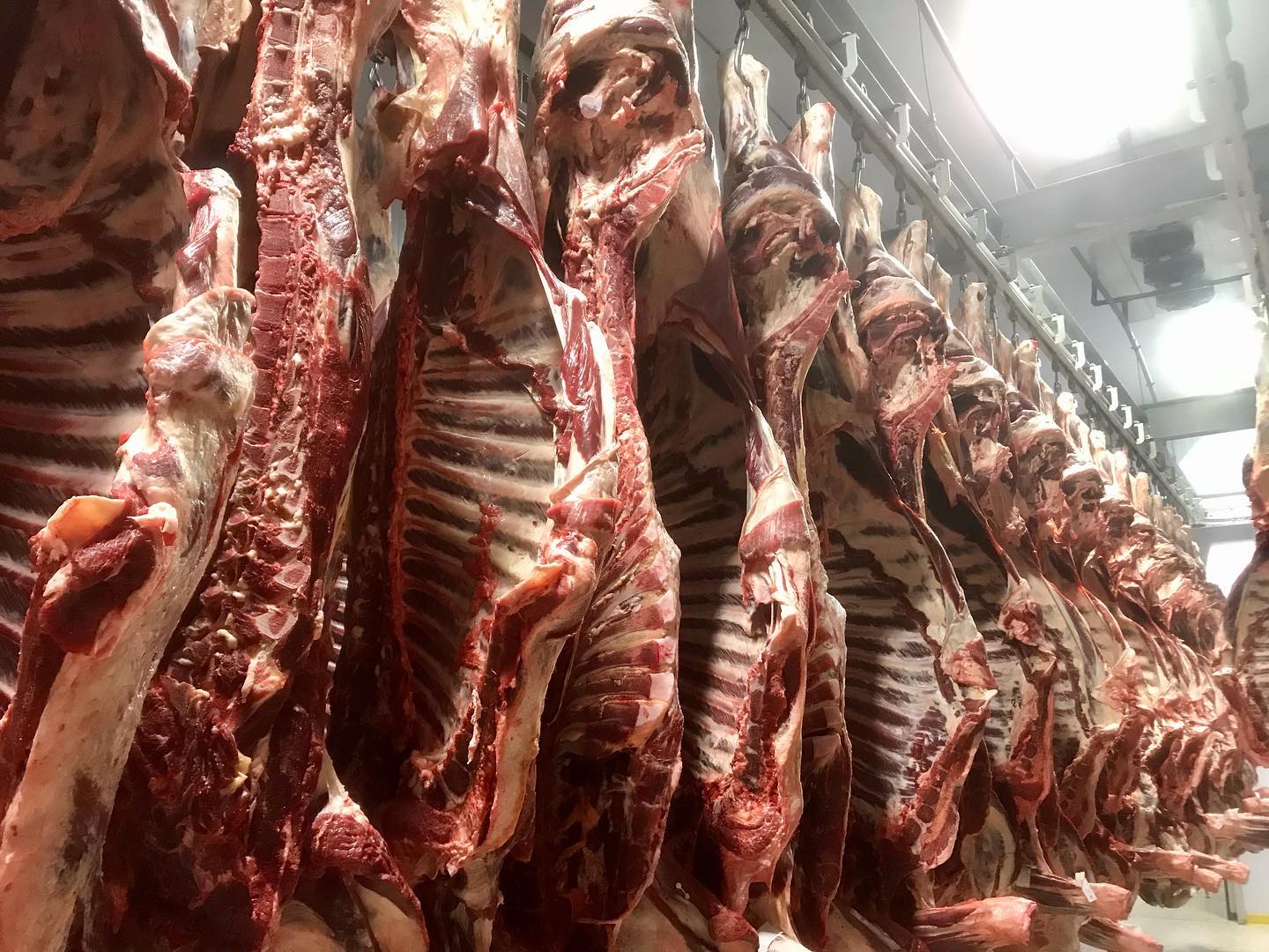 Kadıköy Kurban Galeri 3