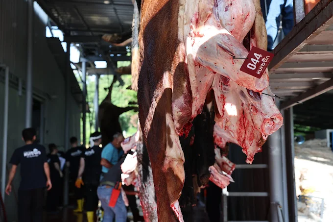 Kadıköy Kurban Tesis Görünümü 1