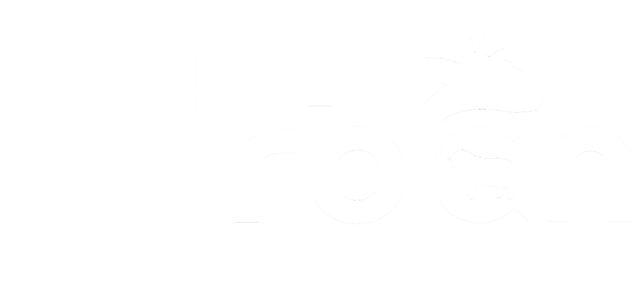 Kadıköy Kurban Logo